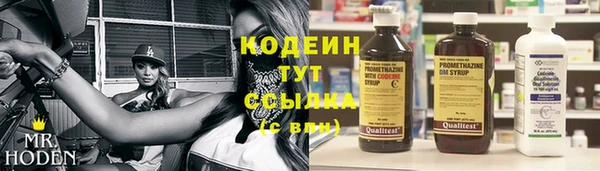 твердый Заводоуковск