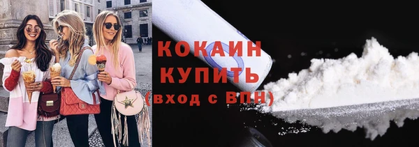 твердый Заводоуковск