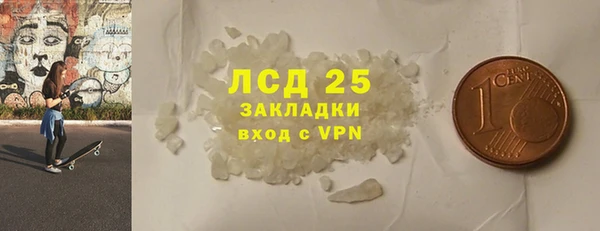 твердый Заводоуковск
