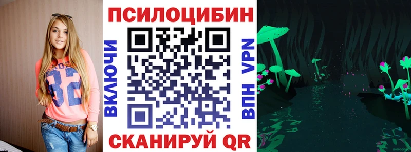где купить наркоту  Задонск  Псилоцибиновые грибы мухоморы 