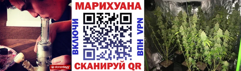 Канабис планчик  купить наркотики цена  Задонск 